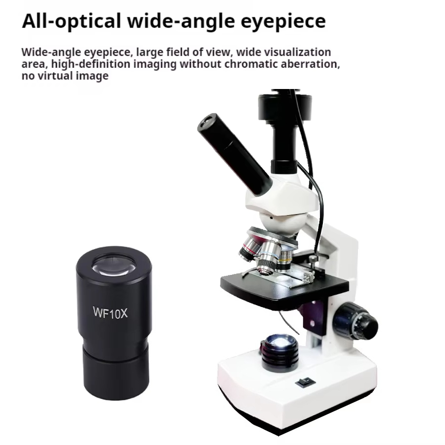Top Selling HD Screen Digital  - Medical Laboratories reseña y precio