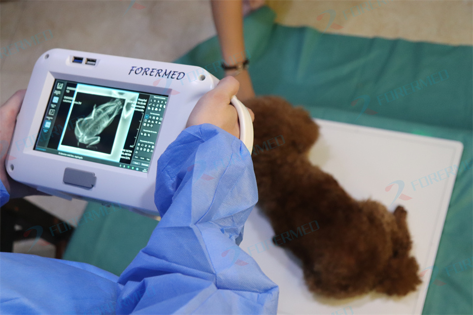 Mini Veterinary X Ray Machine  - Veterinary X-Ray reseña y precio