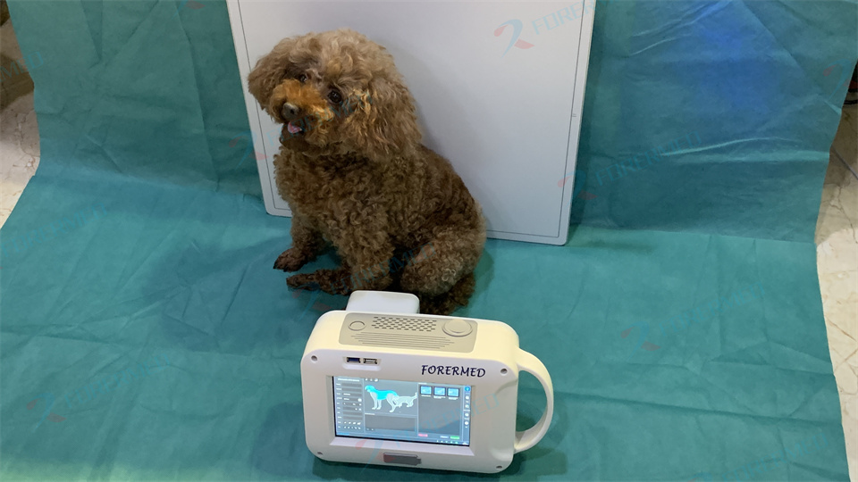 Mini Veterinary X Ray Machine  - Veterinary X-Ray reseña y precio